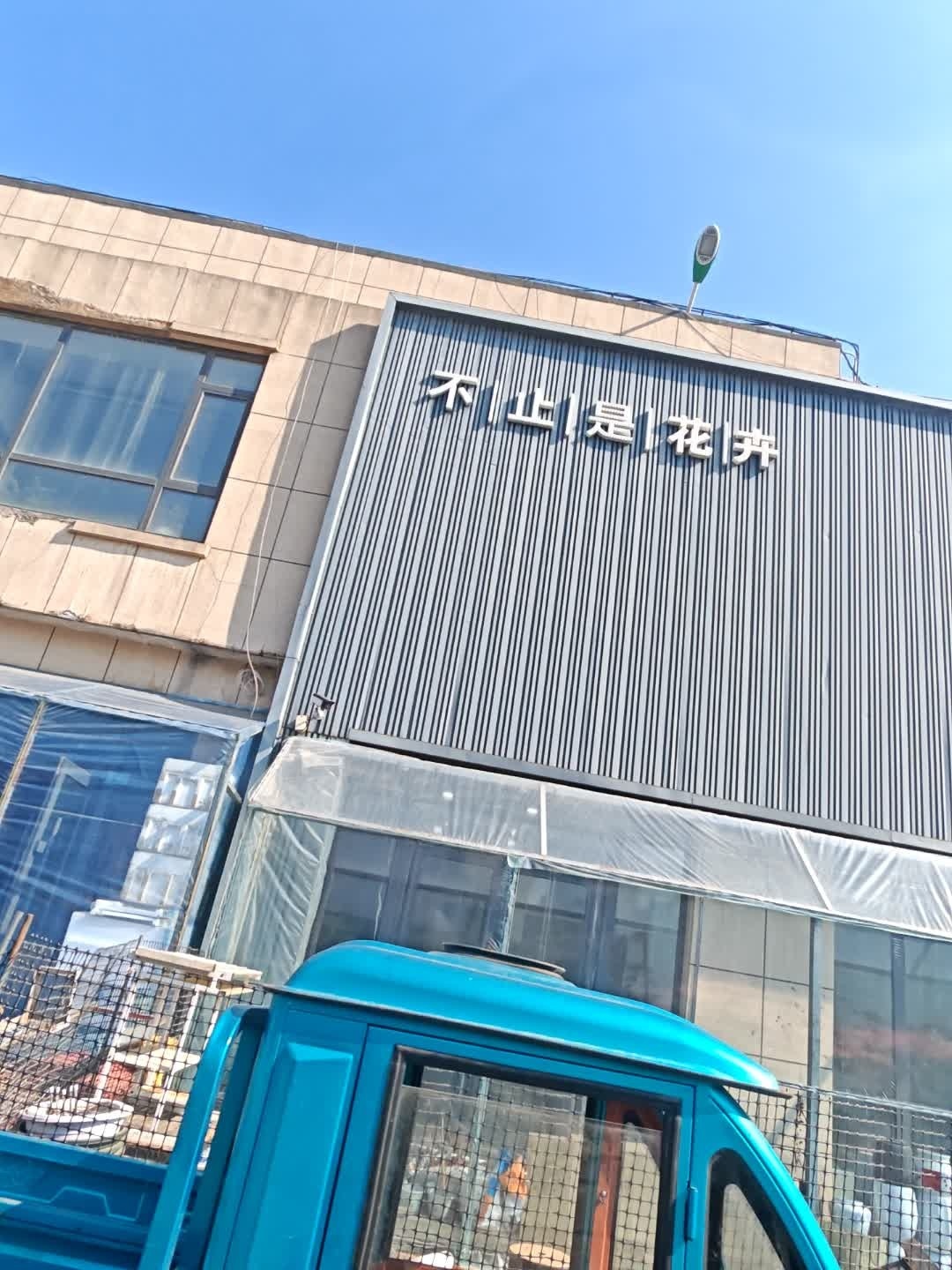 不止是花卉
