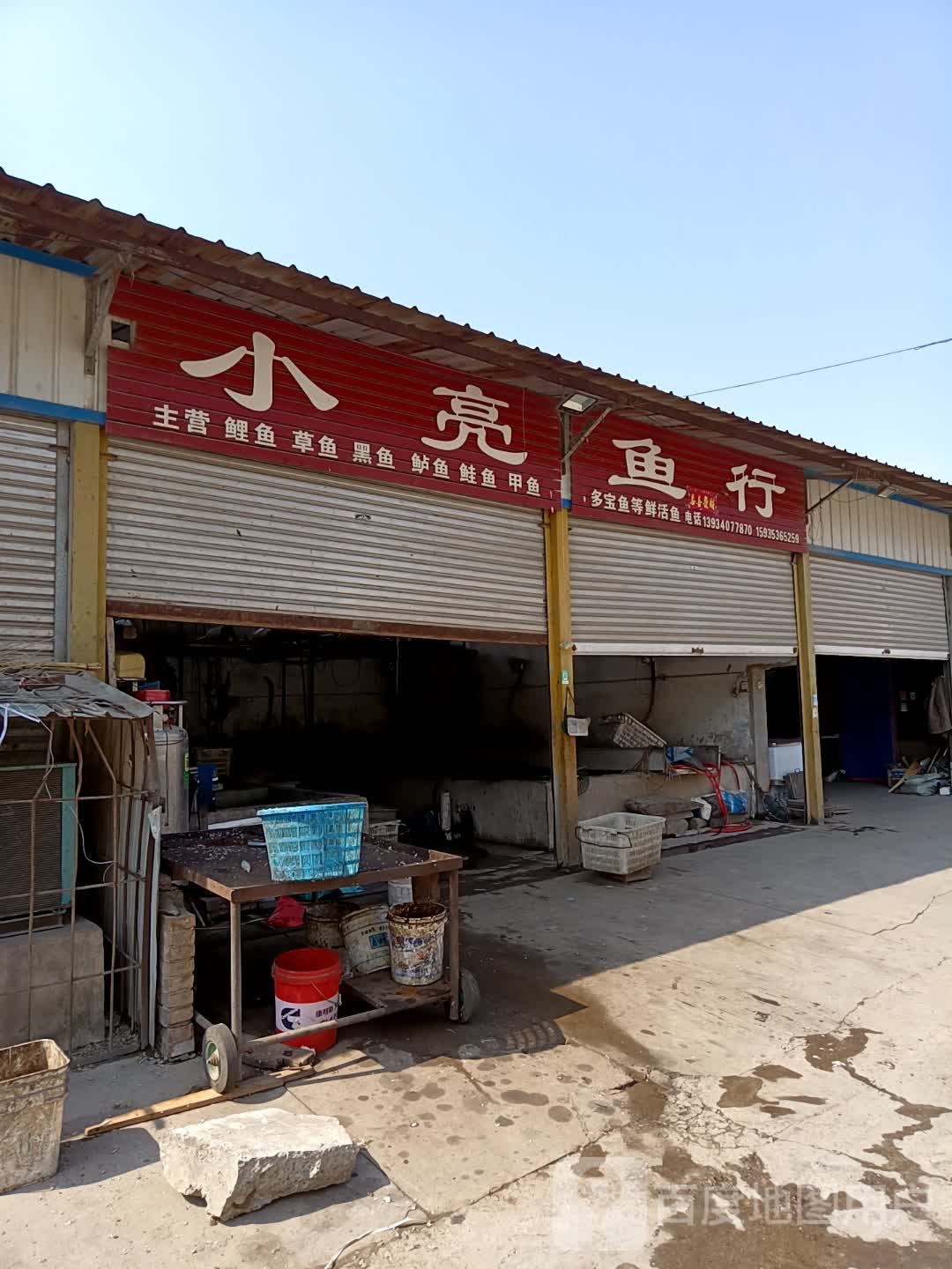 小亮鱼行