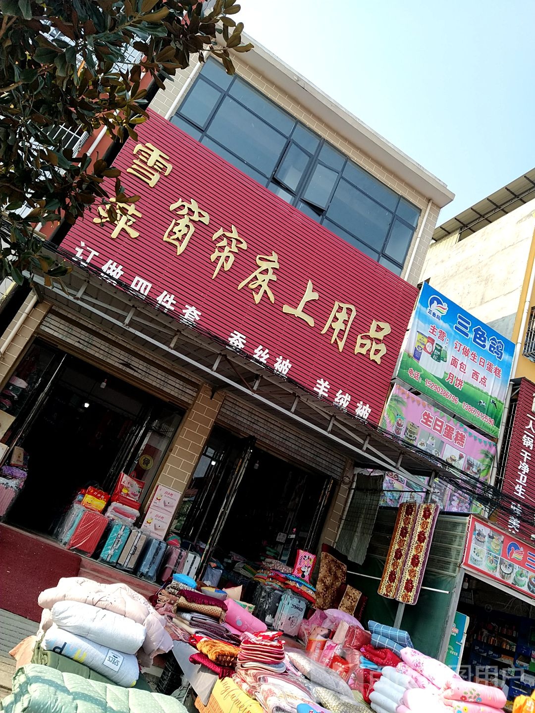 邓州市十林镇三色鸽(Y008店)