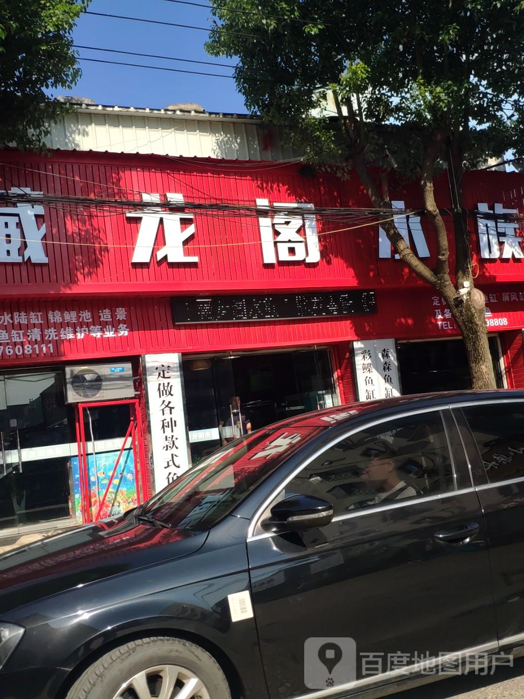 藏龙阁水族(路桥旗舰店)