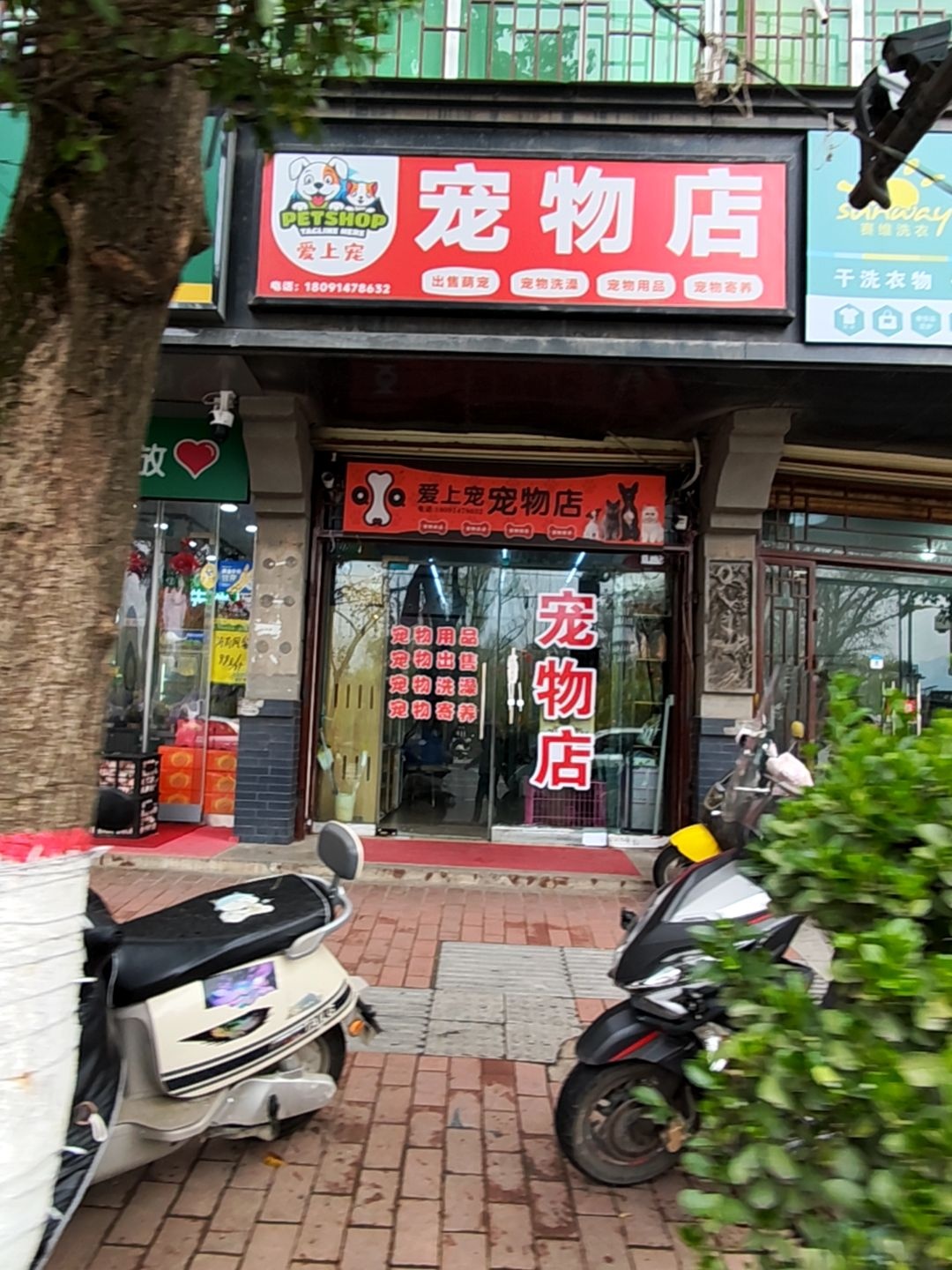 爱上宠宠物店