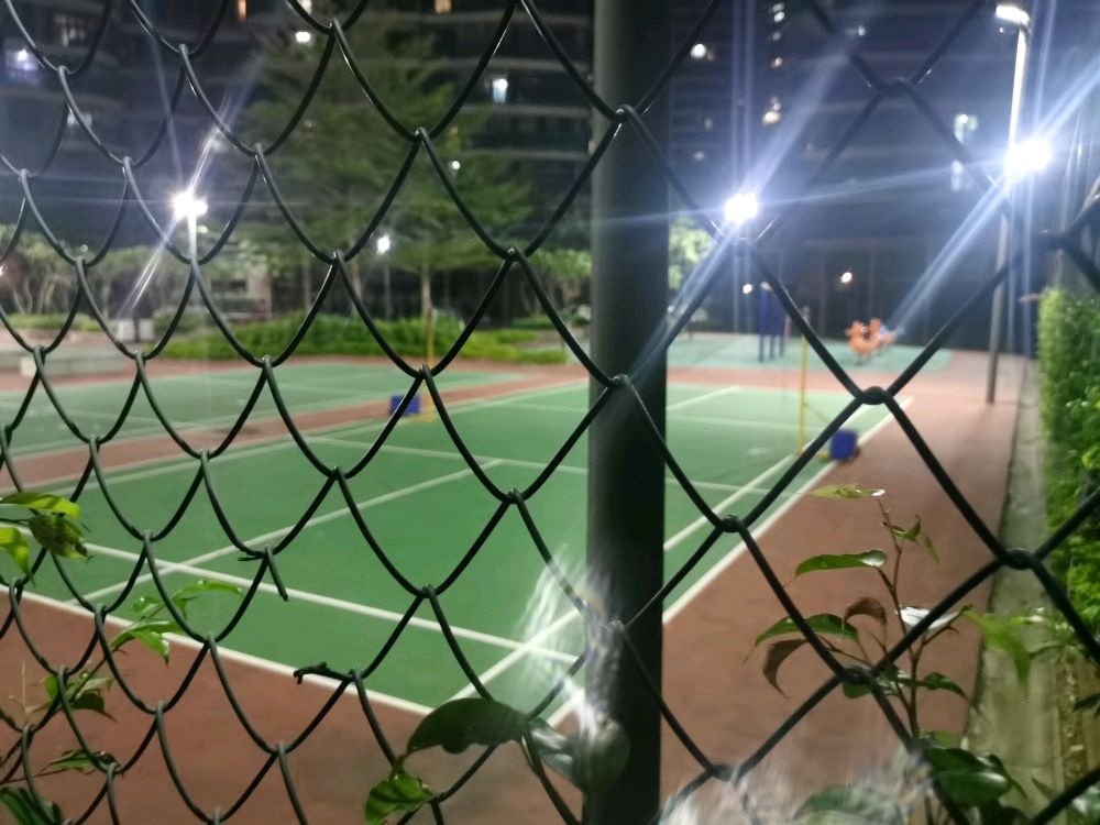 万科水晶城-羽毛球场