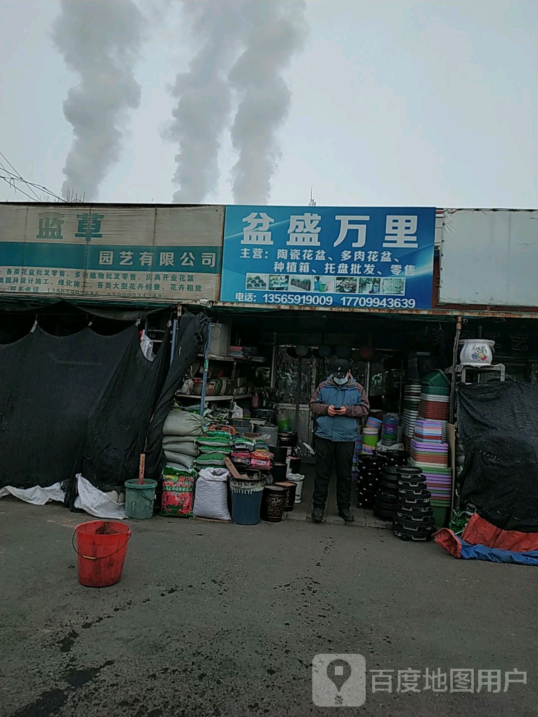 盆盛万丽