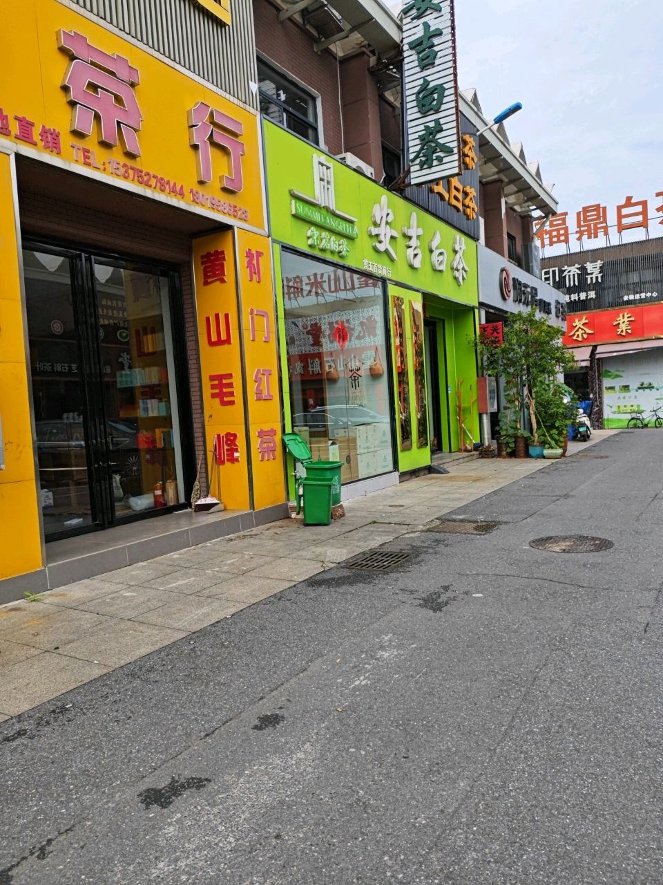 福鼎白茶(十里店路店)