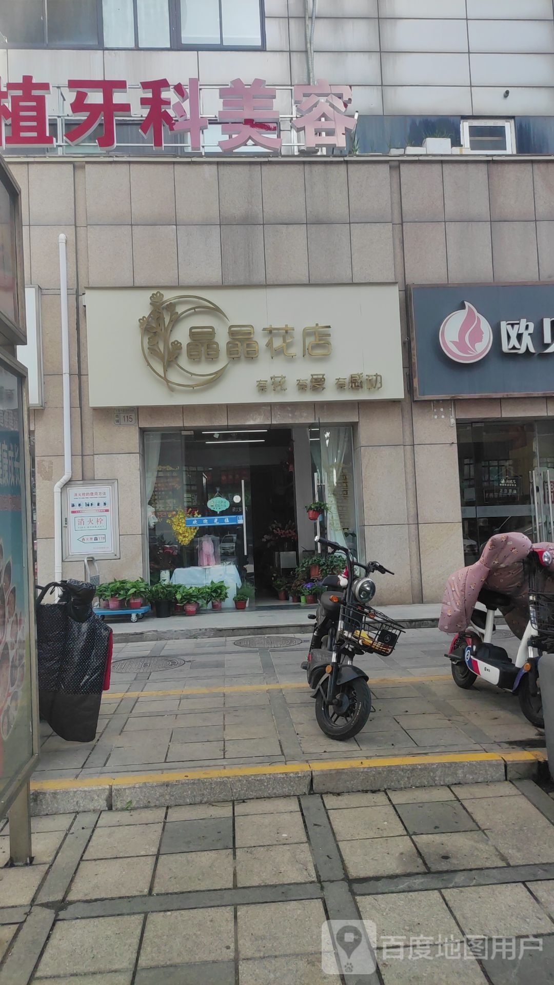 晶晶花店(恒天新世界店)
