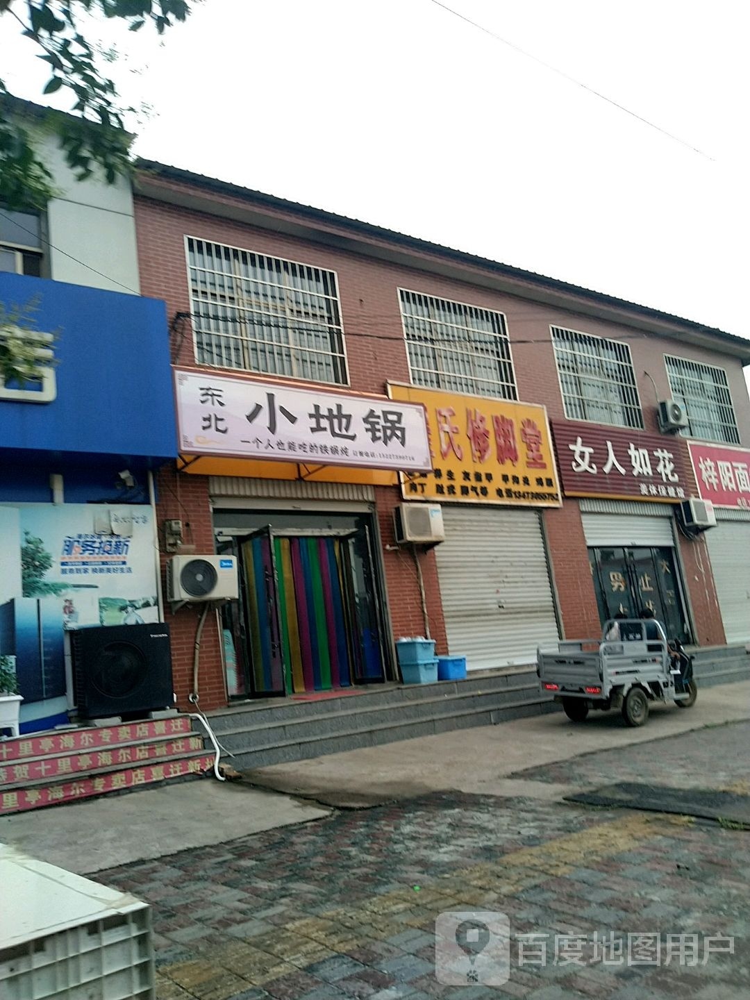 东北小地锅