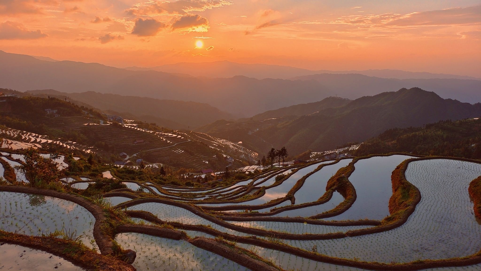 溆浦山背花瑶梯田景区