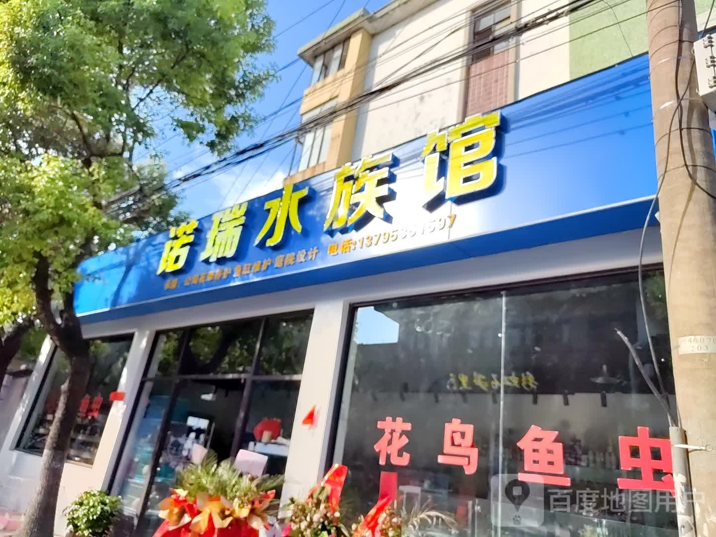 诺瑞水族馆