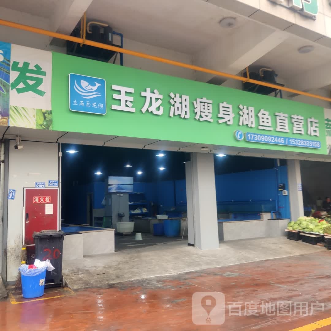 玉龙湖瘦身湖鱼直营店