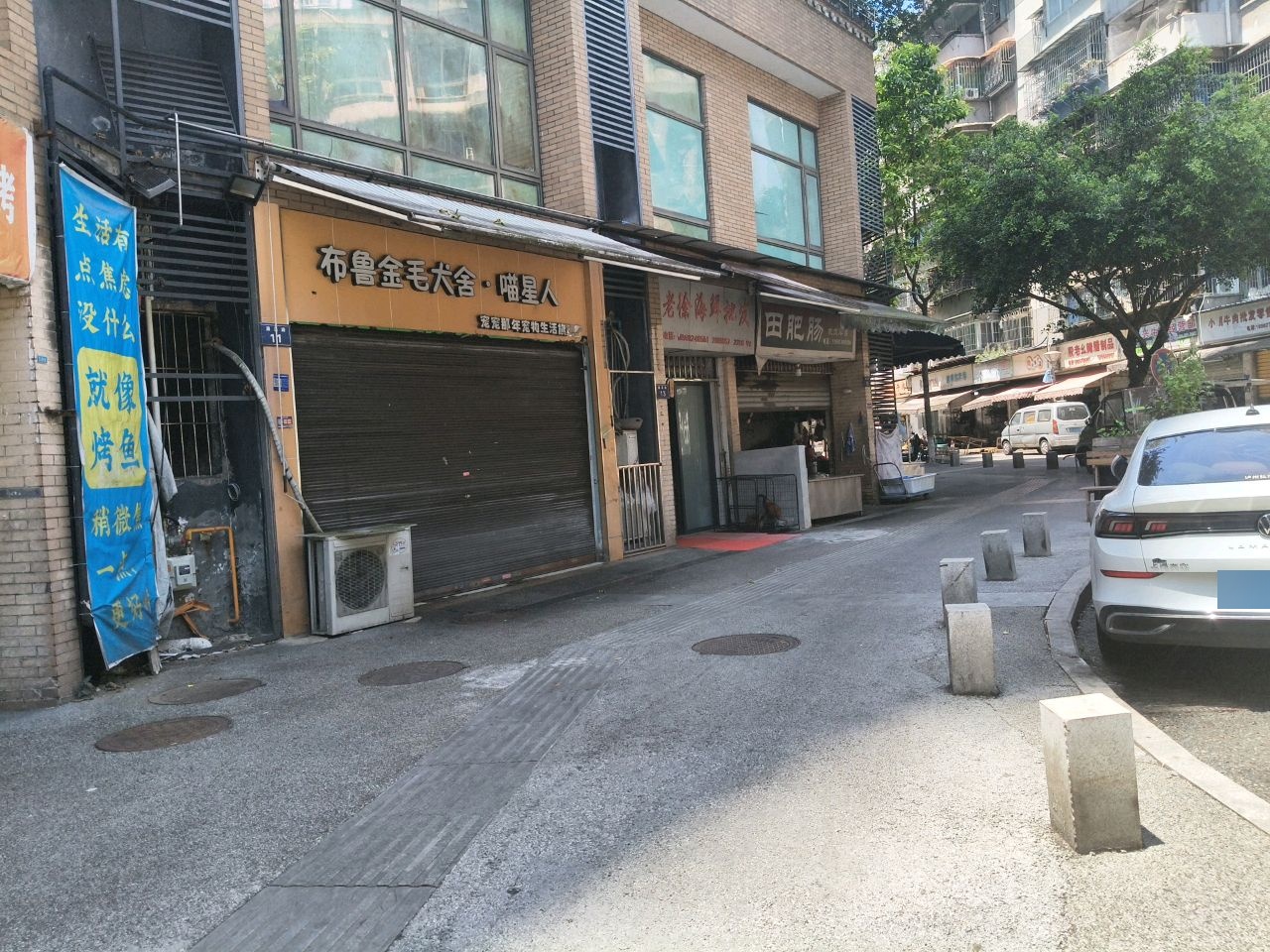 老徐海鲜批发