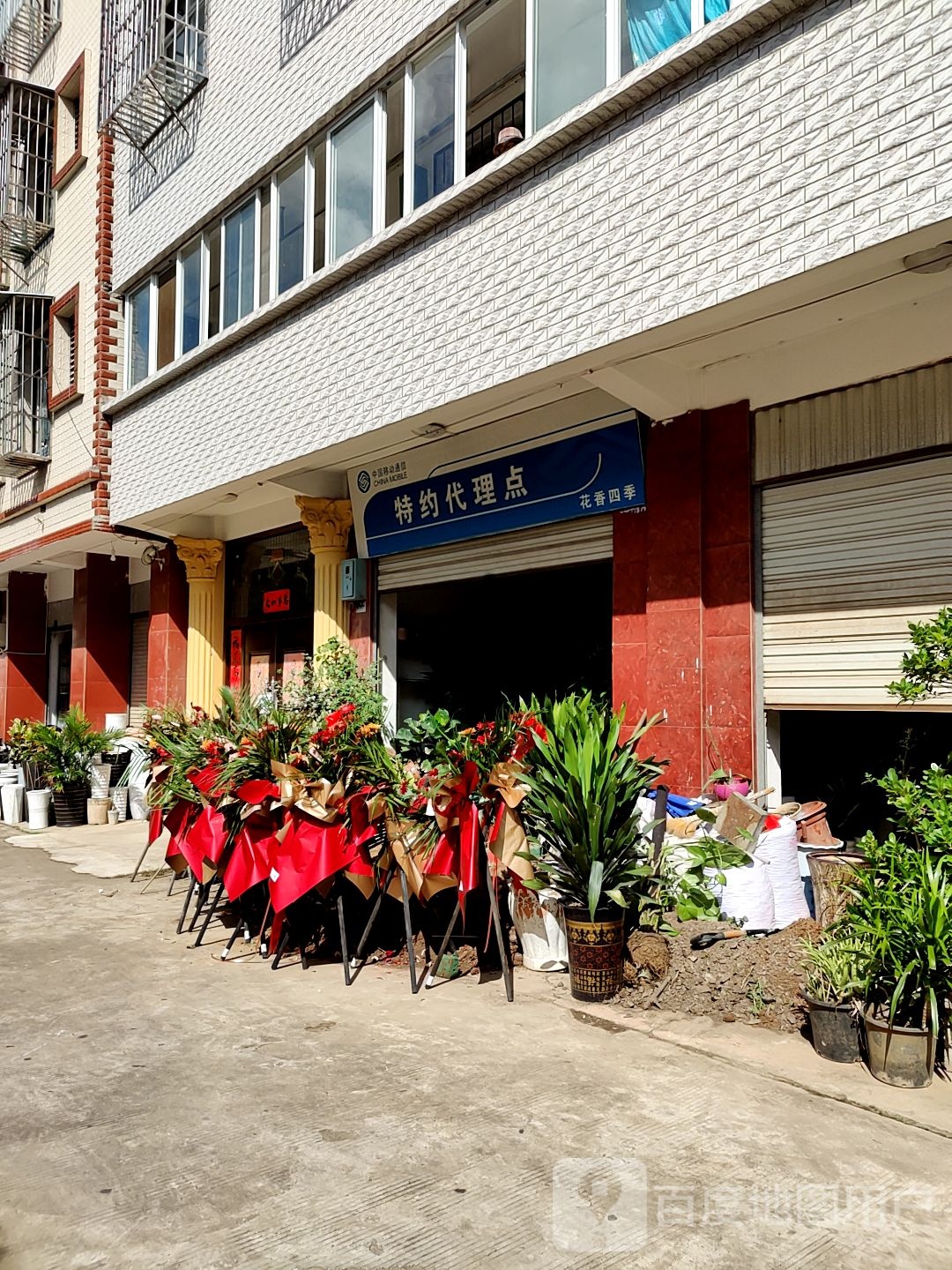 花香四季(半坡路店)