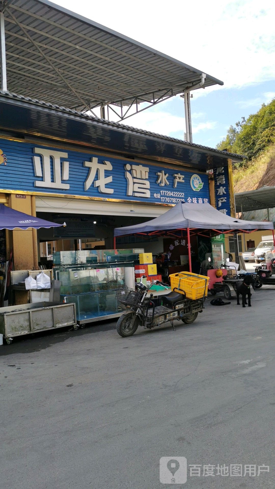 亚丁湾水产