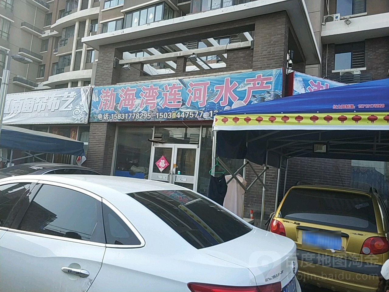 渤海湾连河海鲜