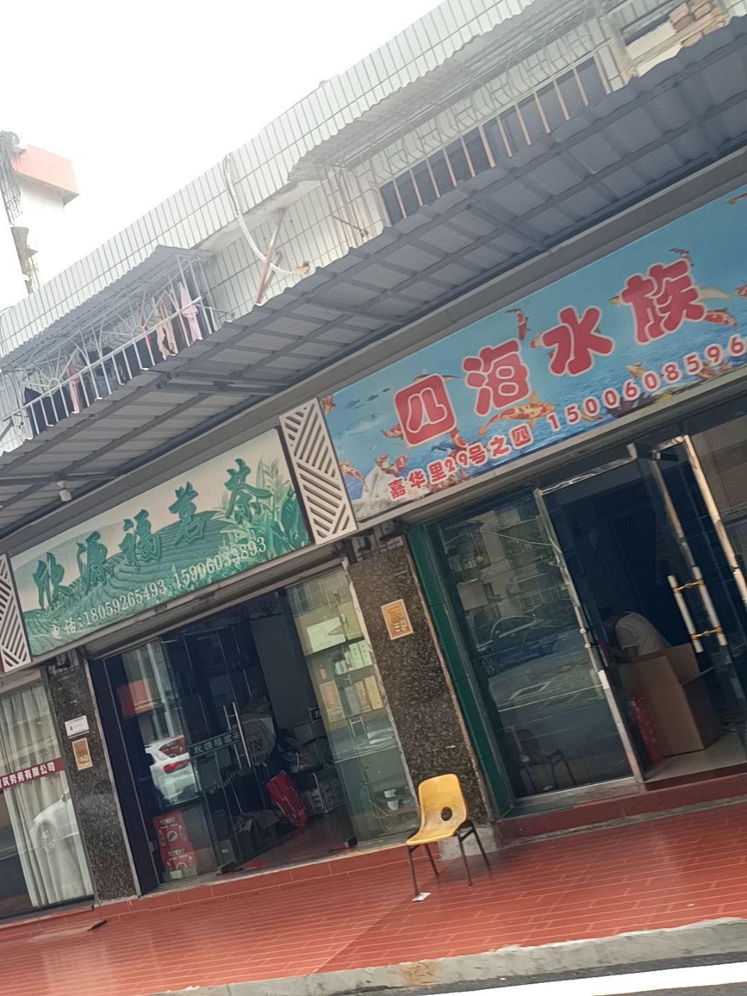 四海水族(嘉滨路店)