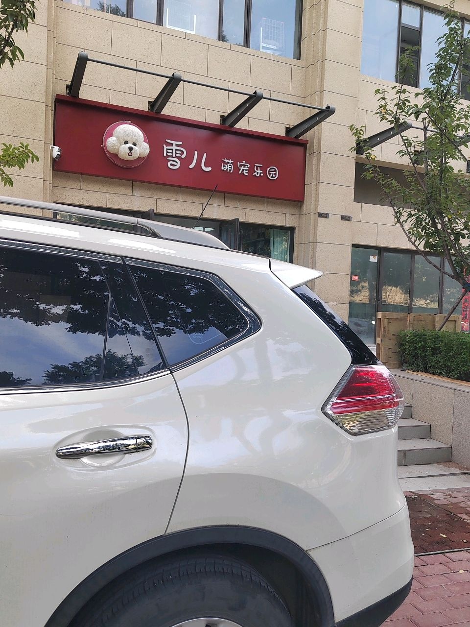 雪儿萌宠乐园
