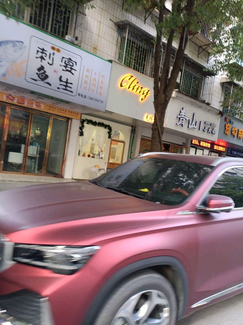 Bobi波比·宠物用品(云集店)