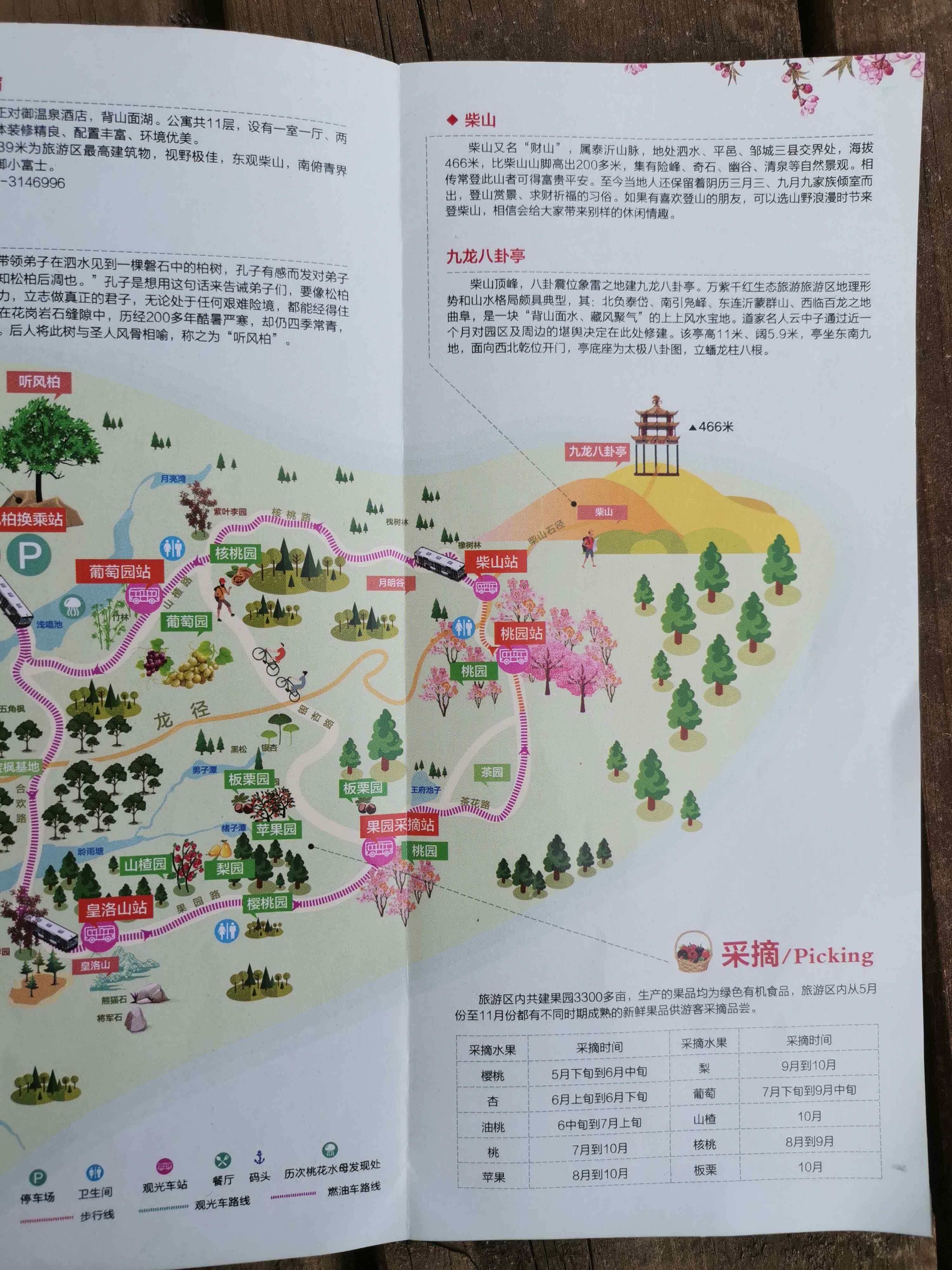 观光车葡萄园站