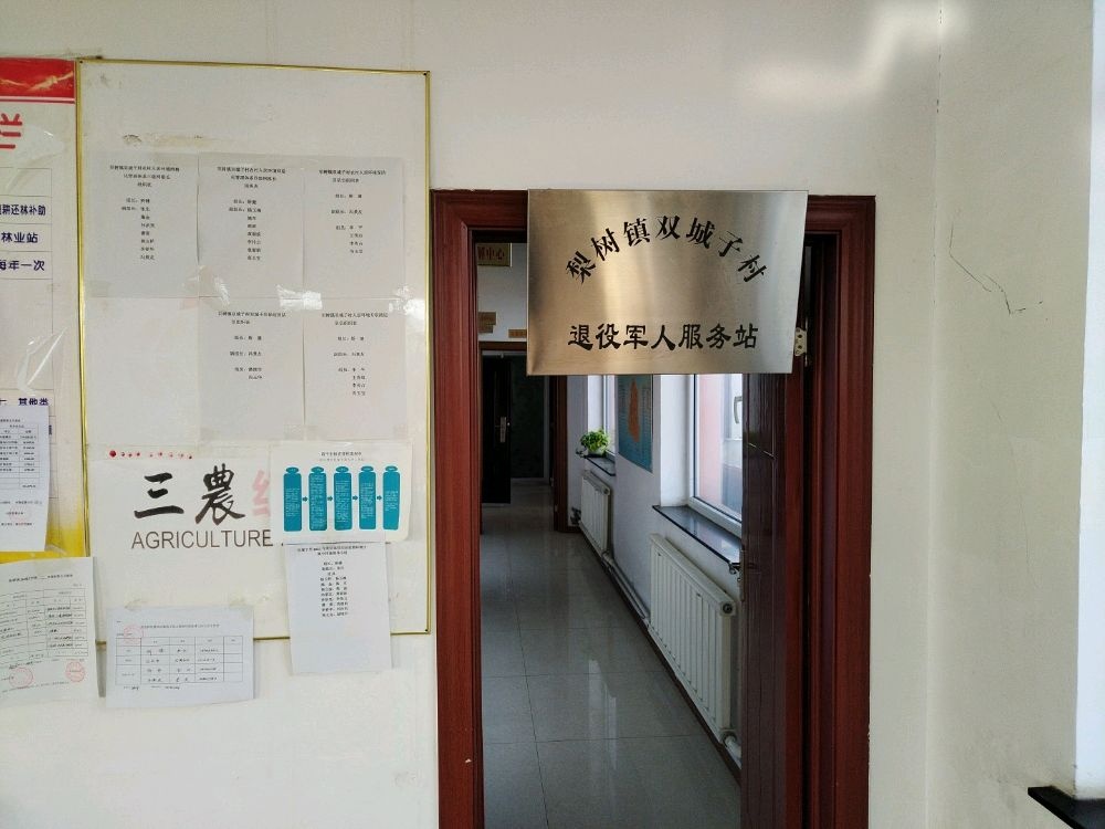 吉林省四平市梨树县梨树镇双城子村退役军人服务站
