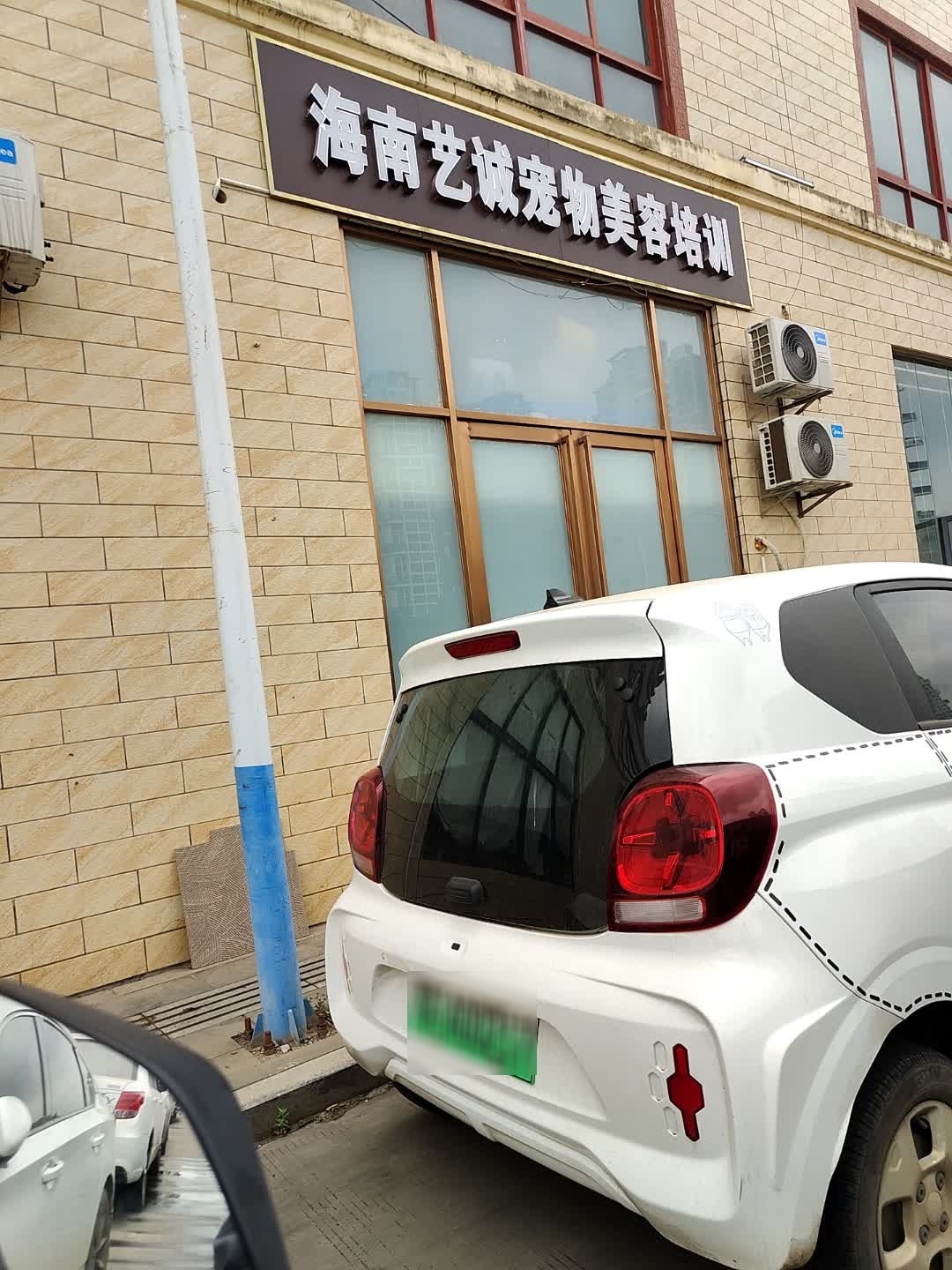 海南艺诚宠物美容培训