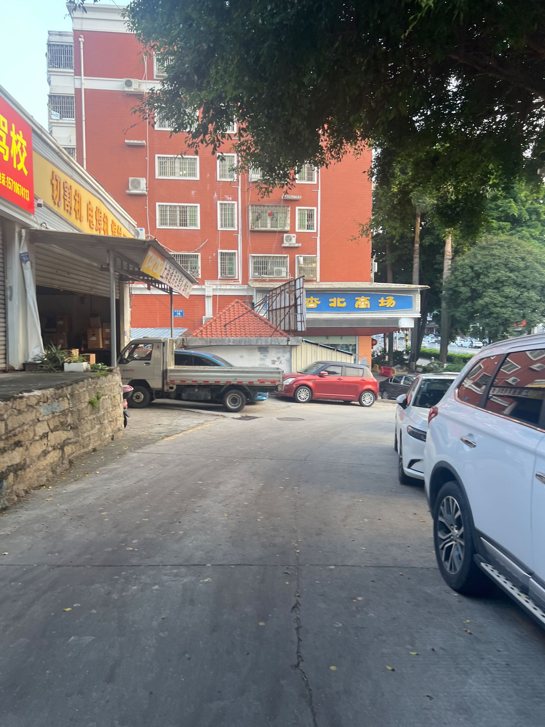 厦门宠物市场