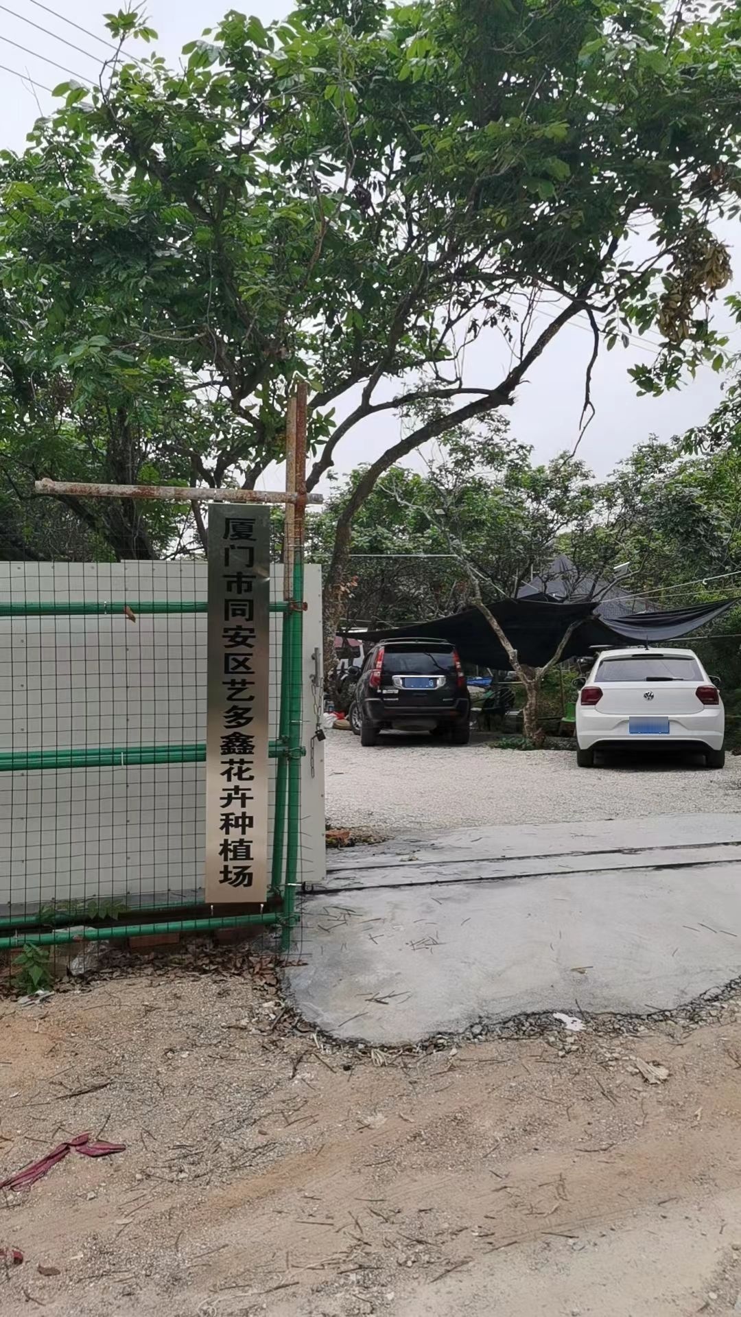 厦门市同安区艺多鑫花卉种植场