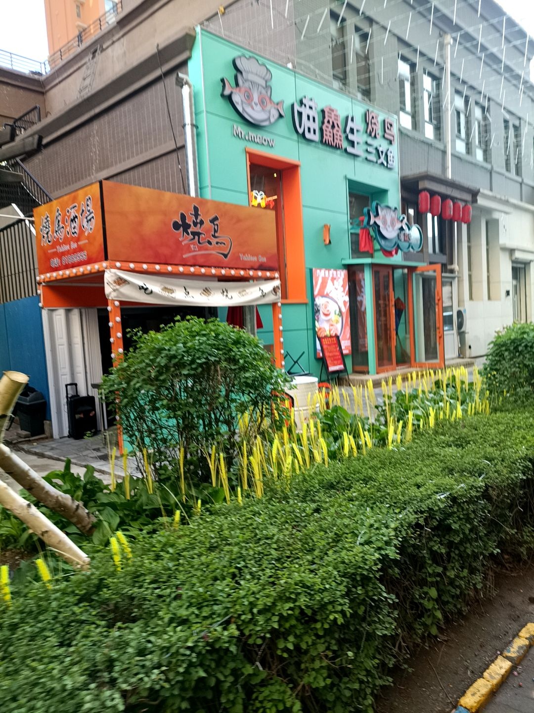 烧鸟酒场