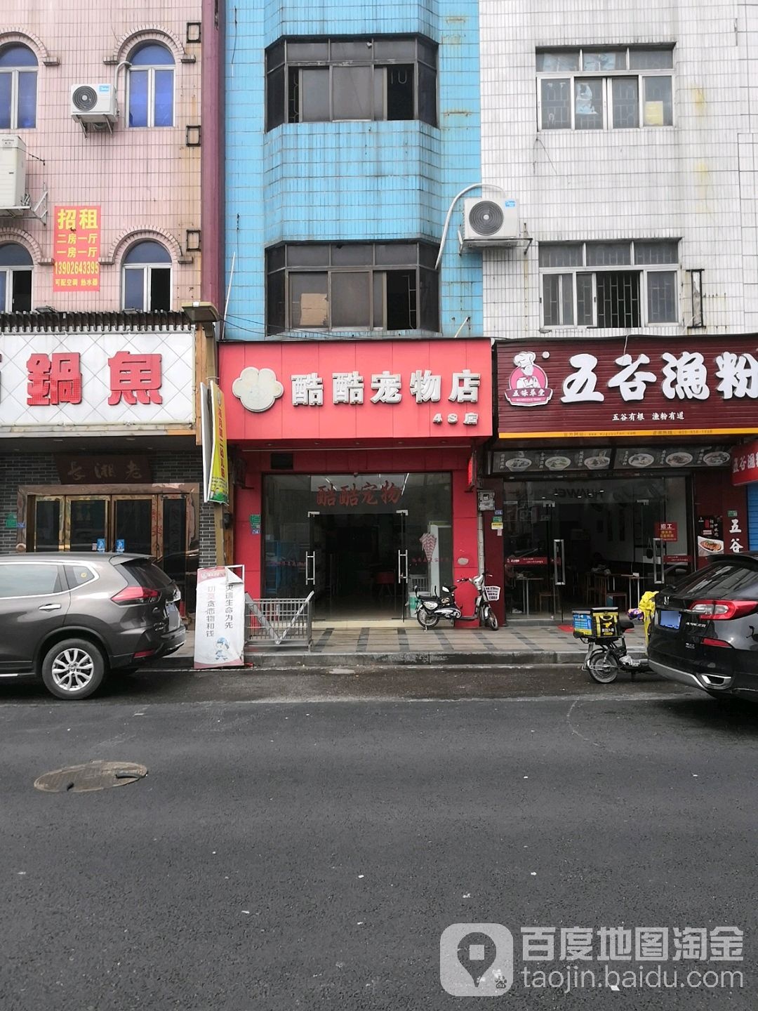 酷酷宠物店