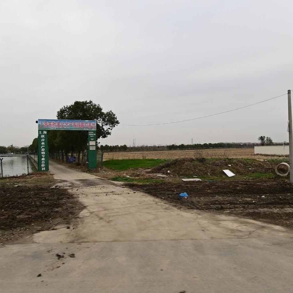 上海市奉贤区标准化水产养殖基地
