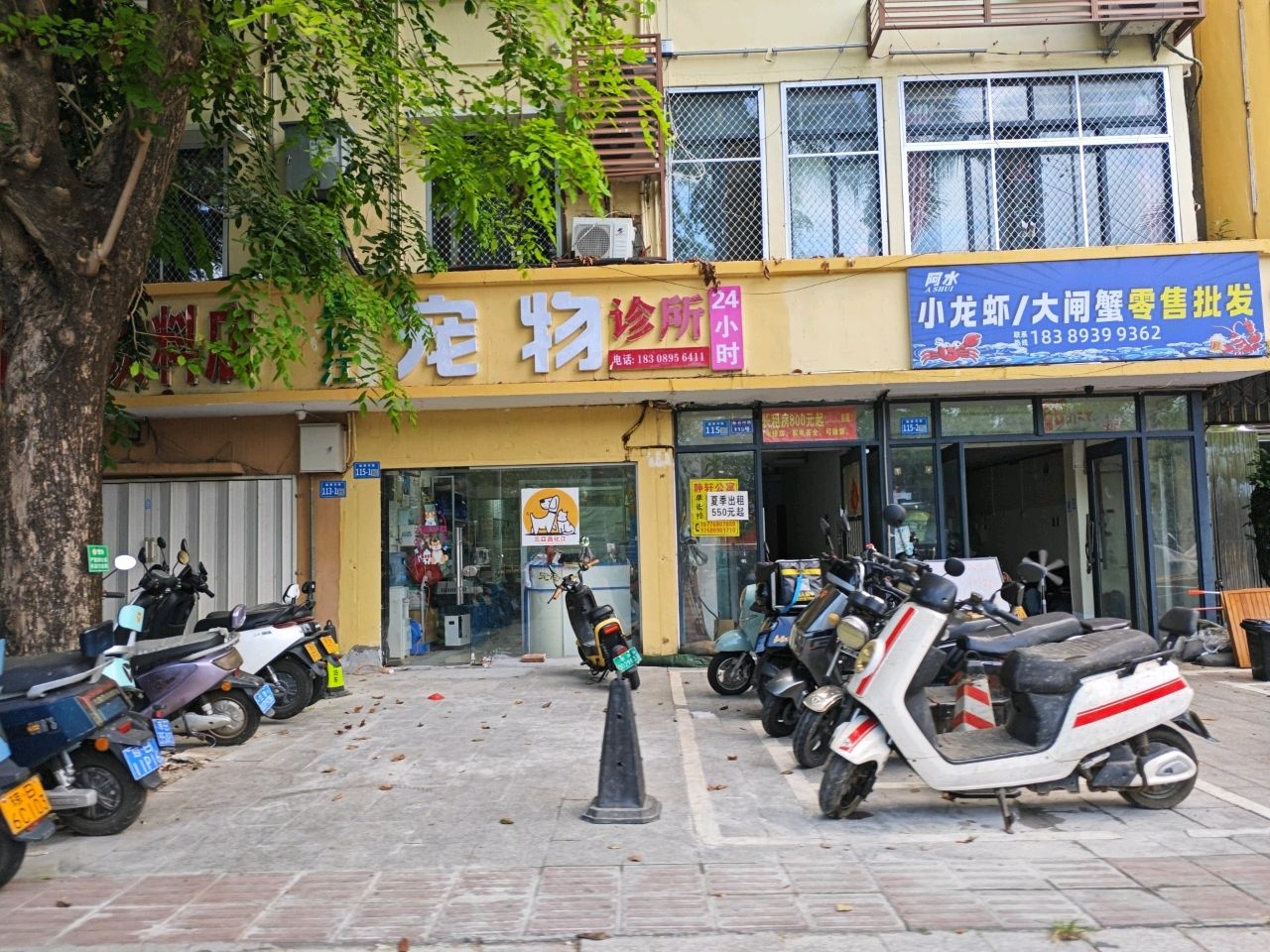 三亚昌化江宠物诊所