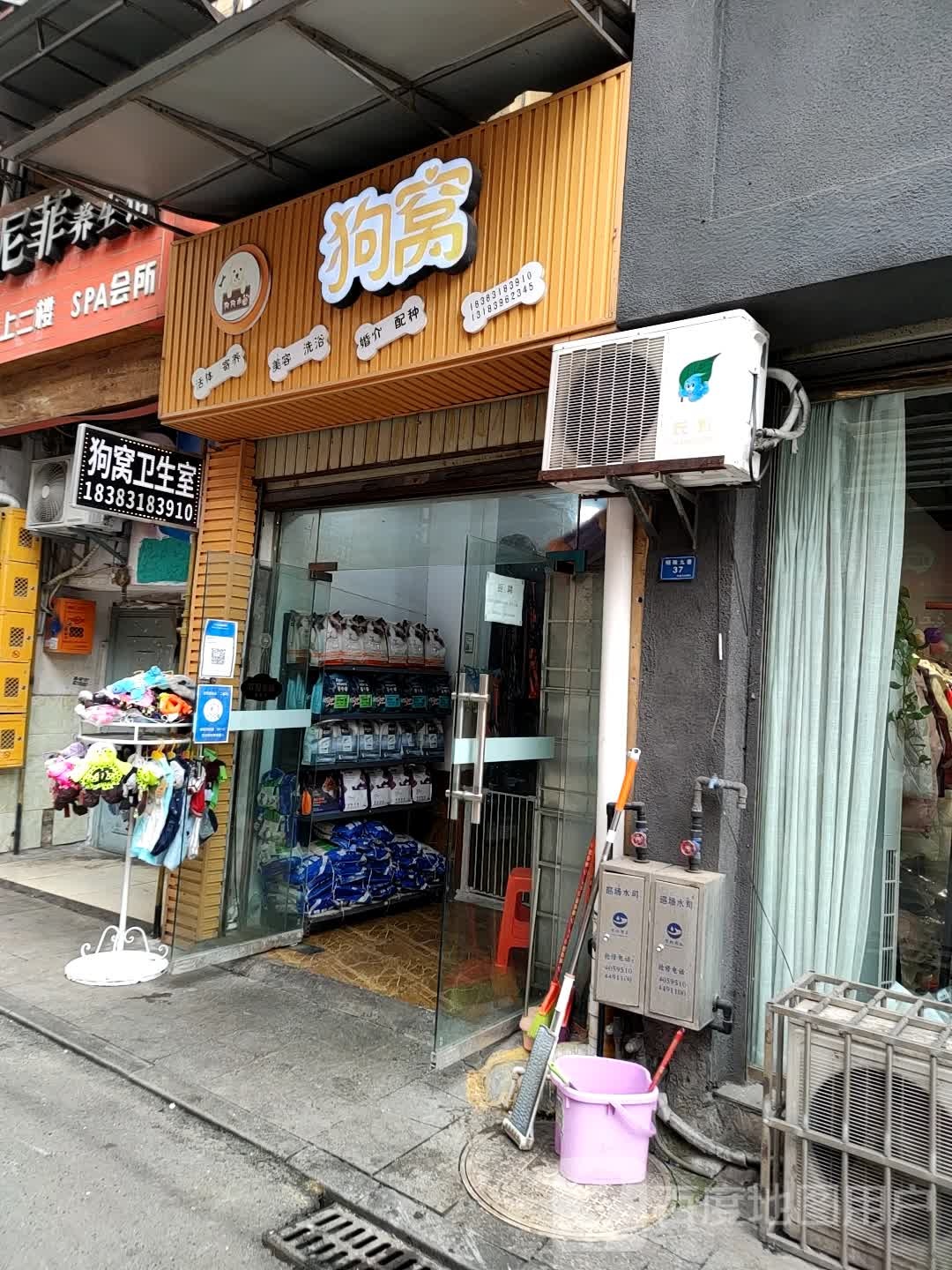 狗窝宠物店