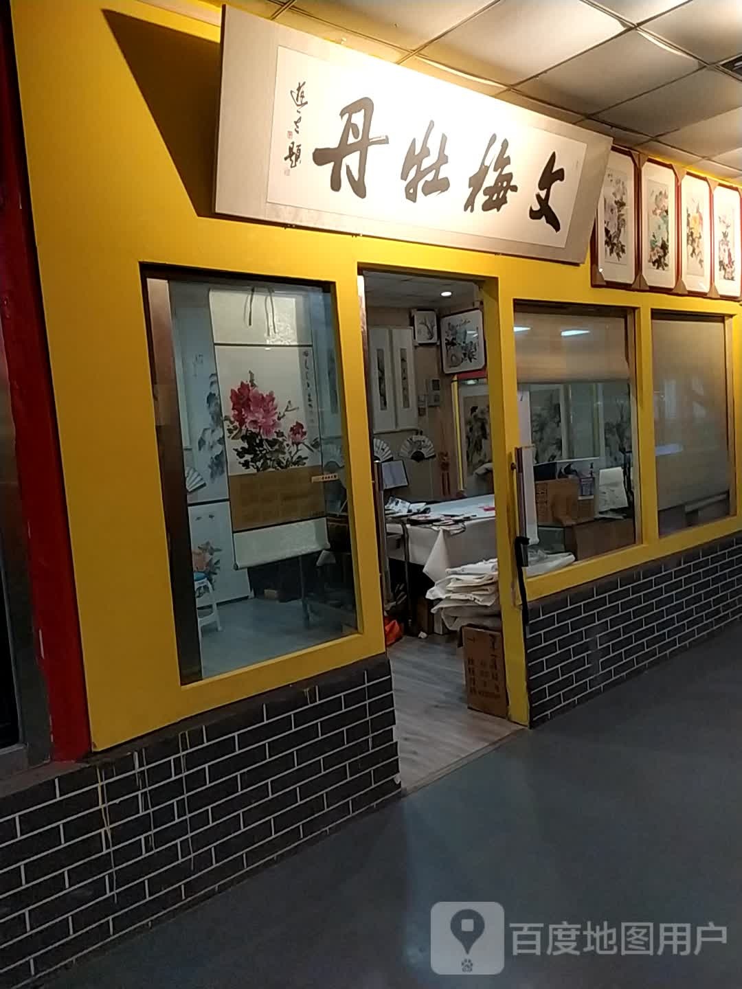 文梅牡丹。