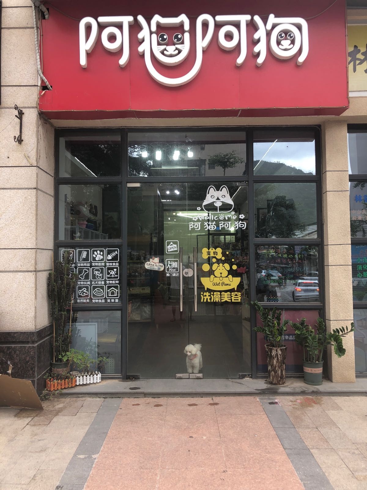 阿猫阿狗(中盛路店)