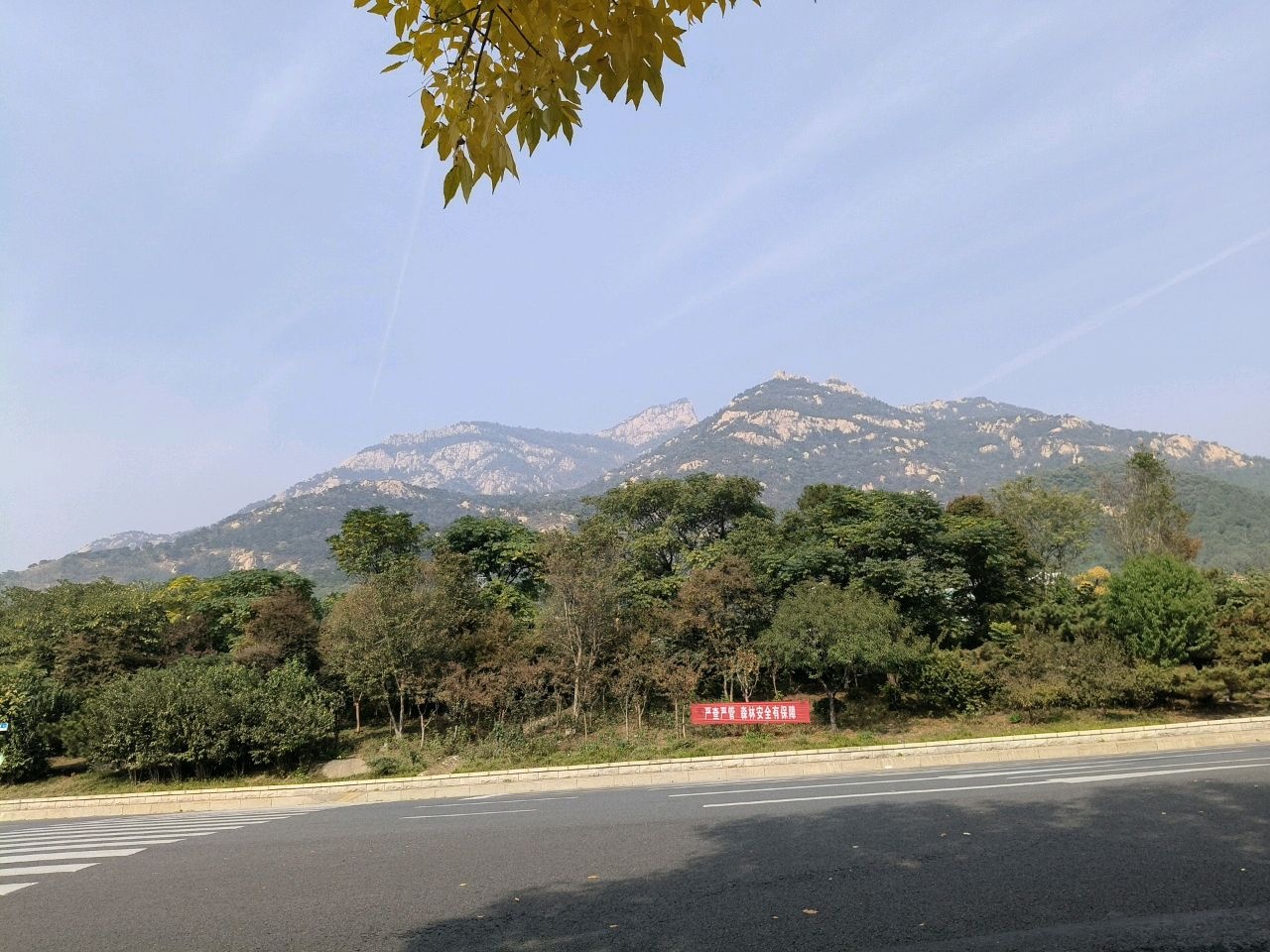 创城纪念林