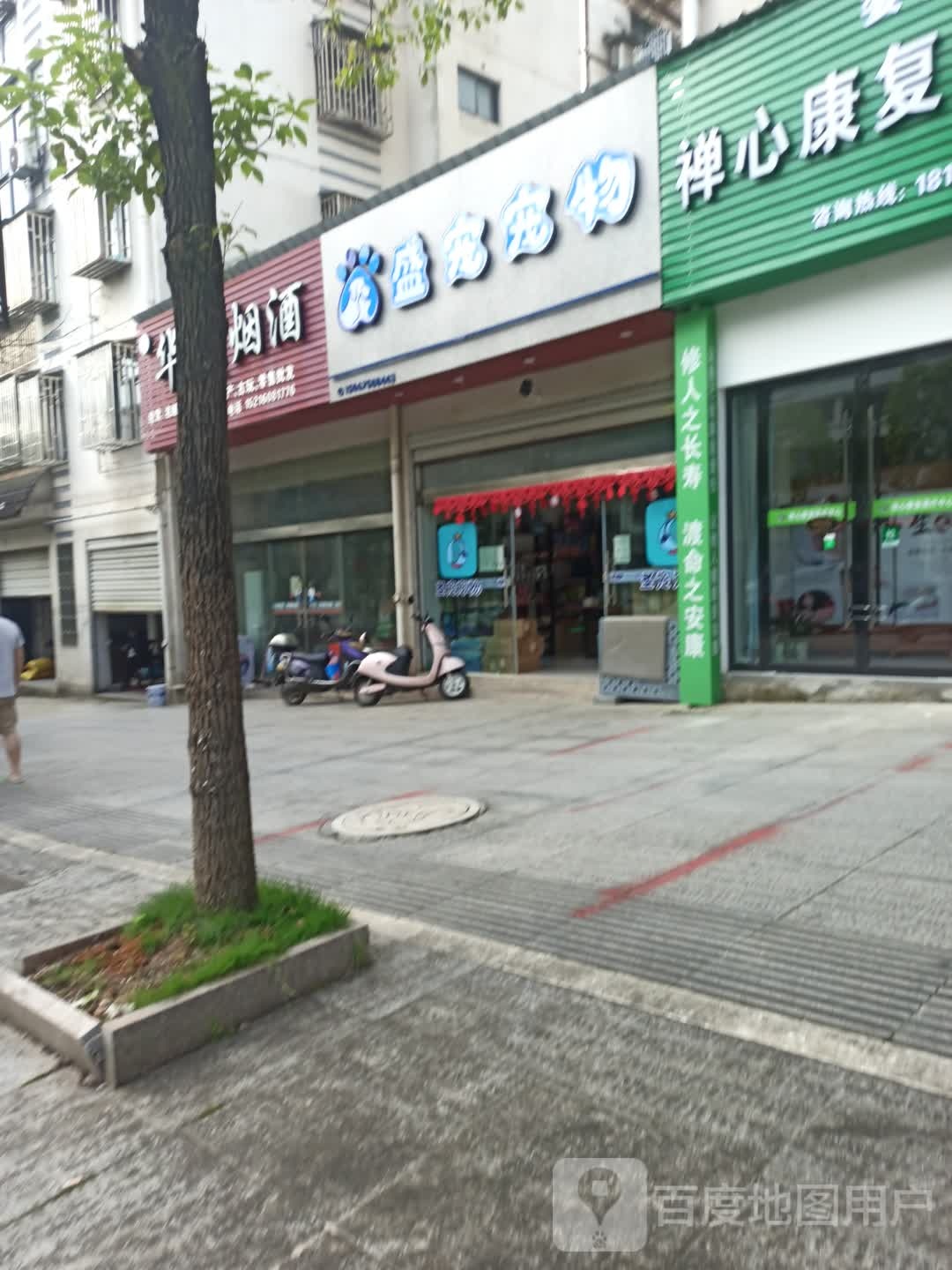 圣宠宠物店(绿苑店)