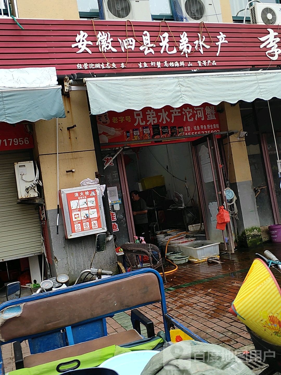 安徽泗县兄弟水产(玉兰菜场店)