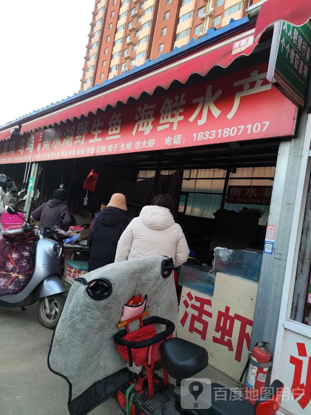 王彬衡水胡野生鱼海鲜水产