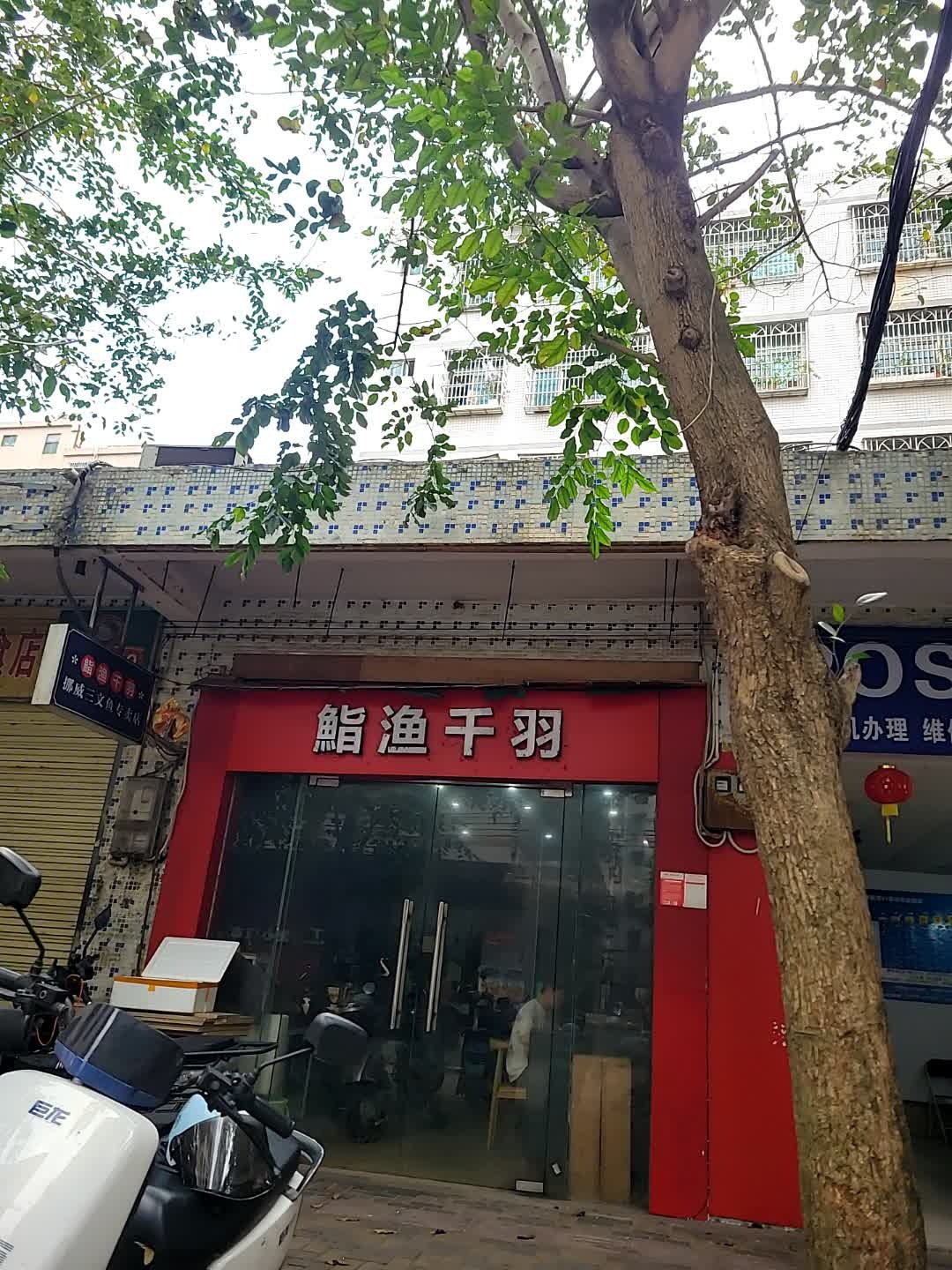 鮨渔千羽挪威三文鱼刺身专卖店