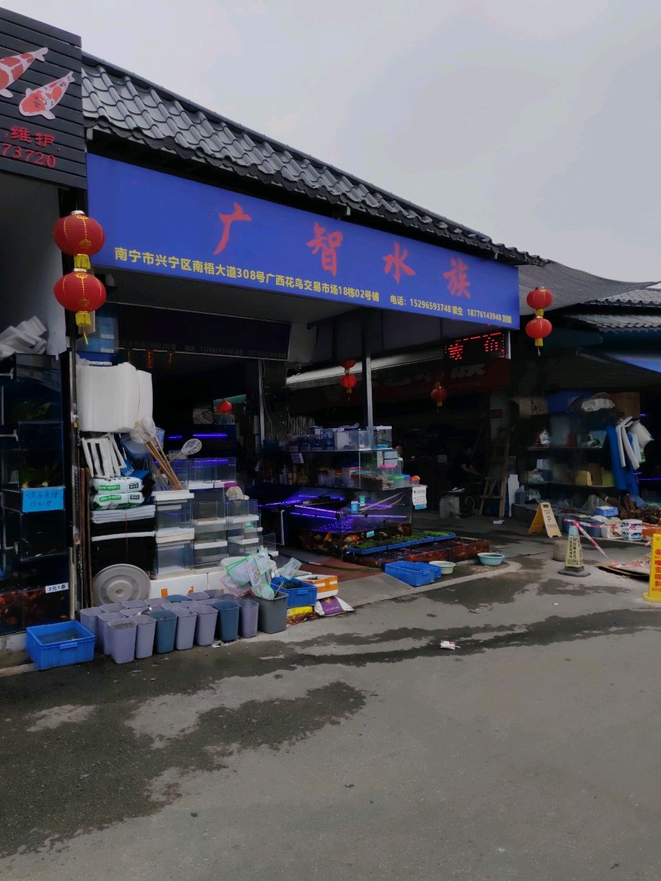 广智水族(广西花鸟交易市场店)