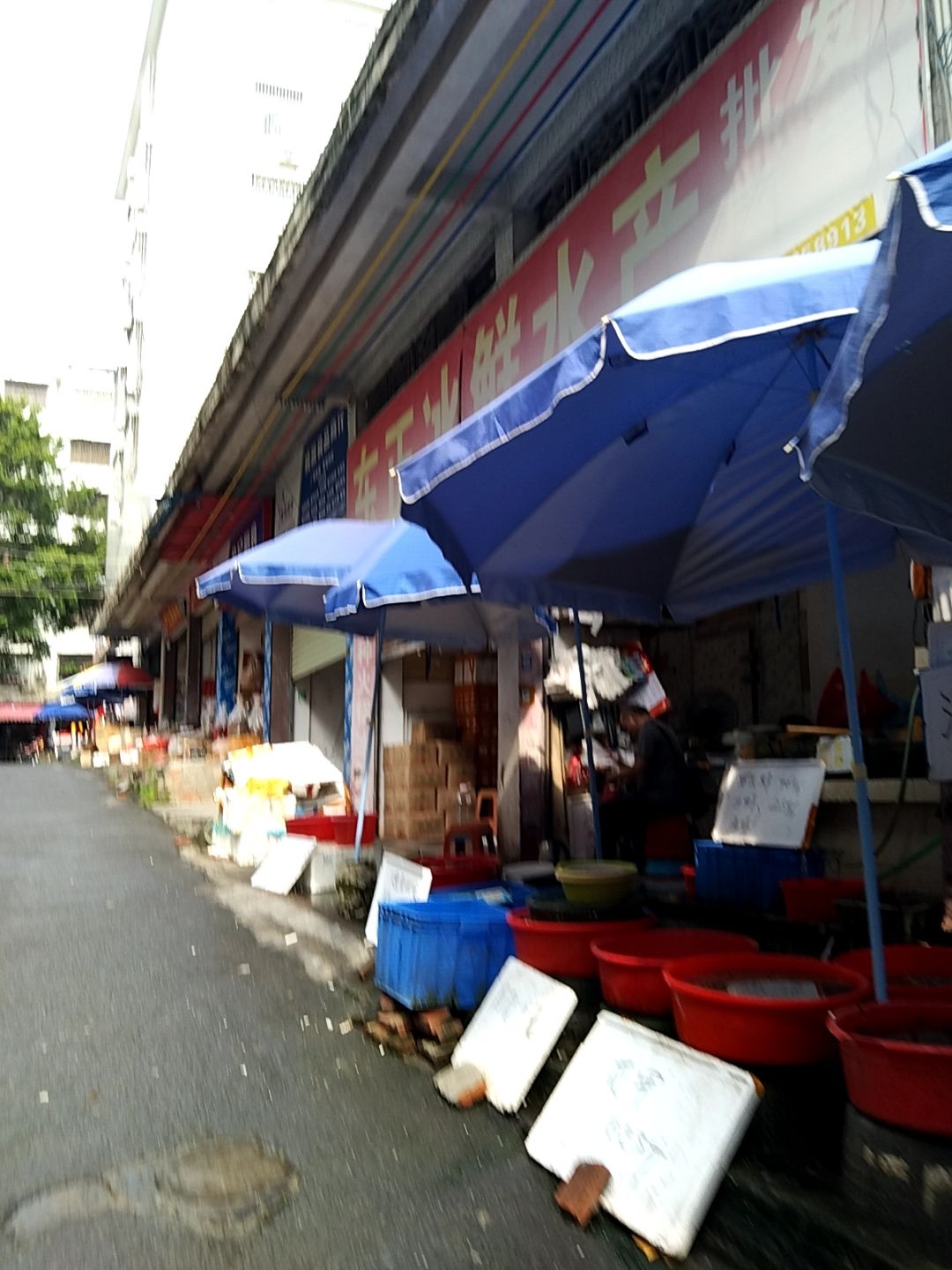 东正冰鲜水产批发零售