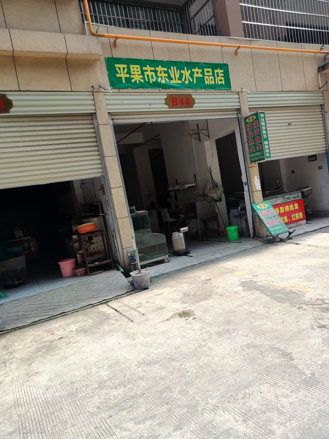 平果市东业水产品店