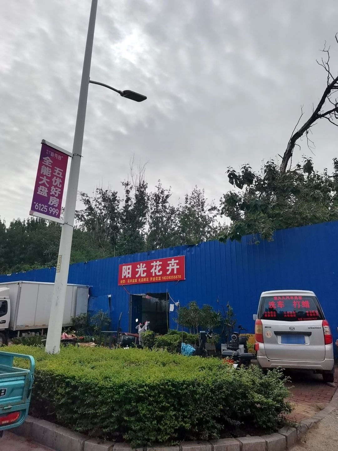 阳光花卉(站前路店)