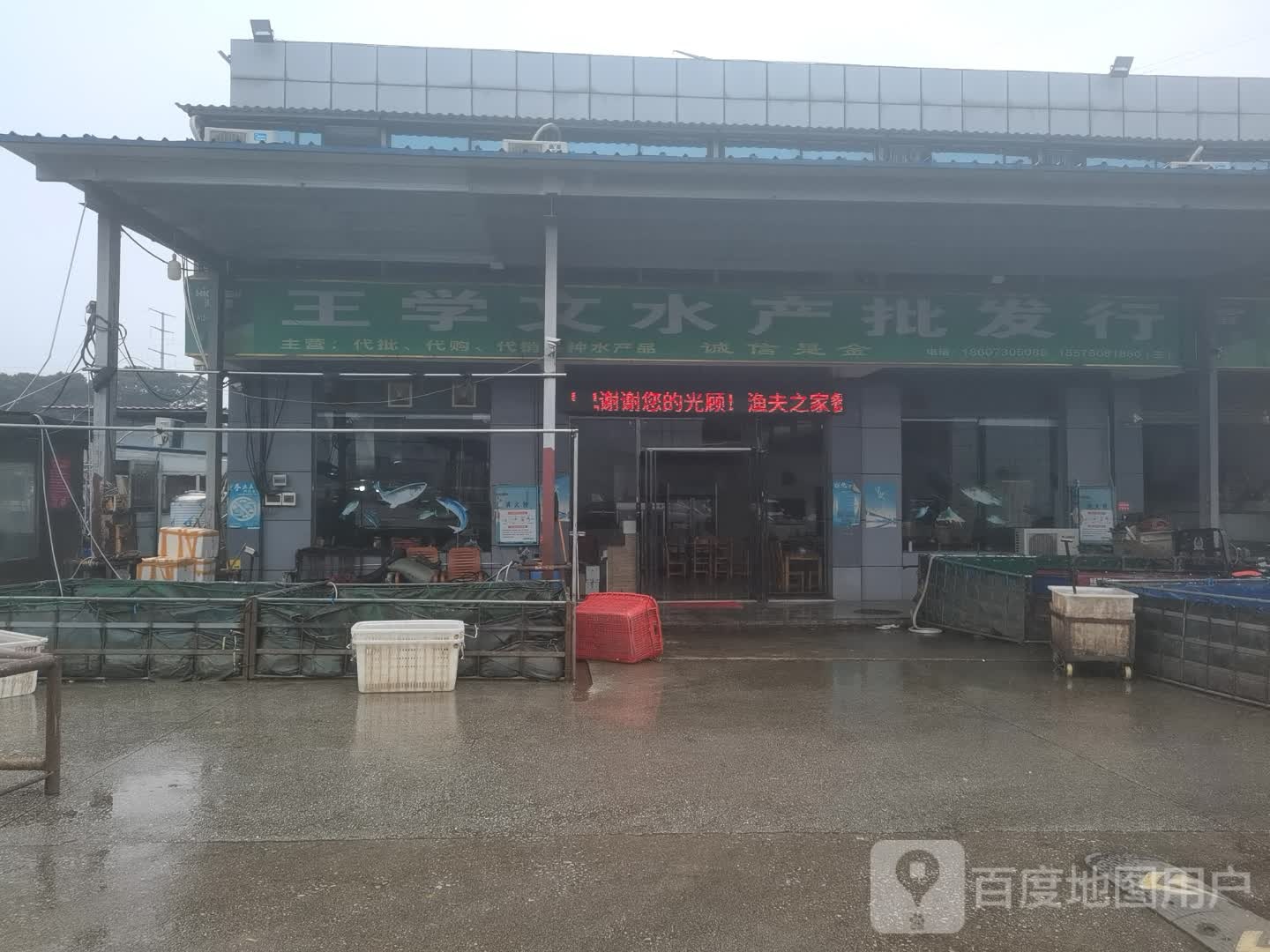 文君水产