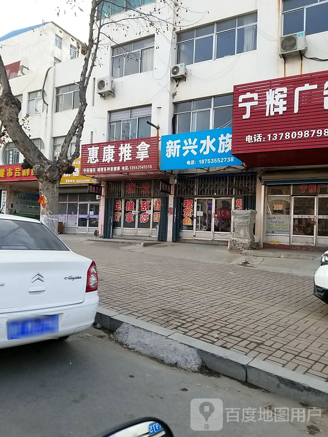 新兴水族