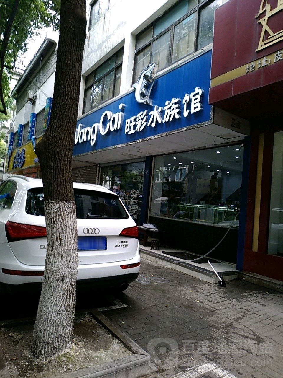 旺彩水景馆
