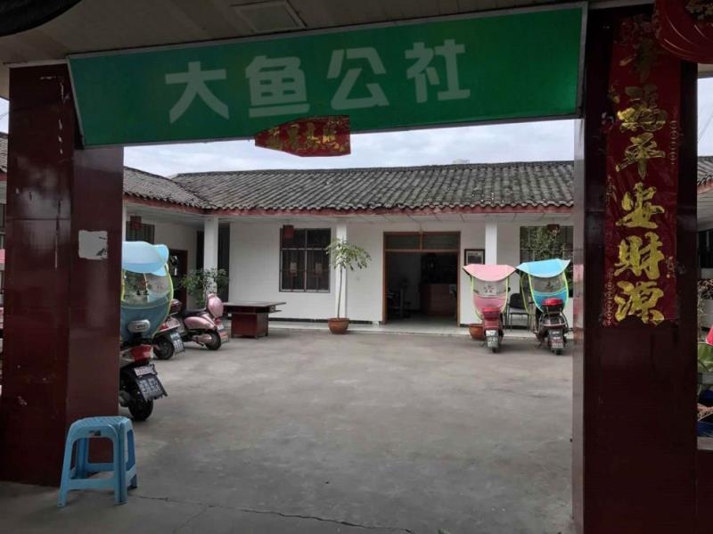大鱼公社