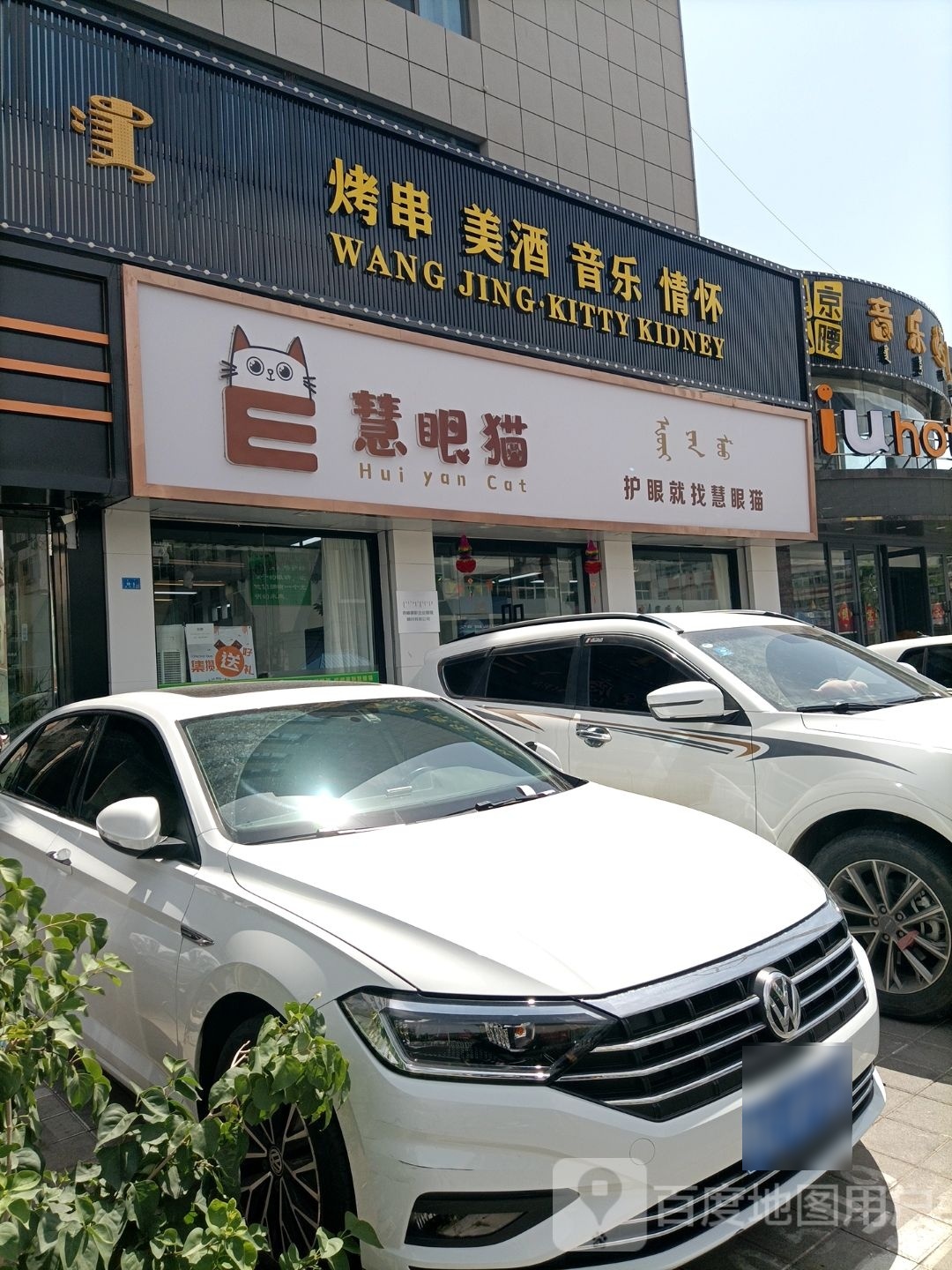 惠眼猫