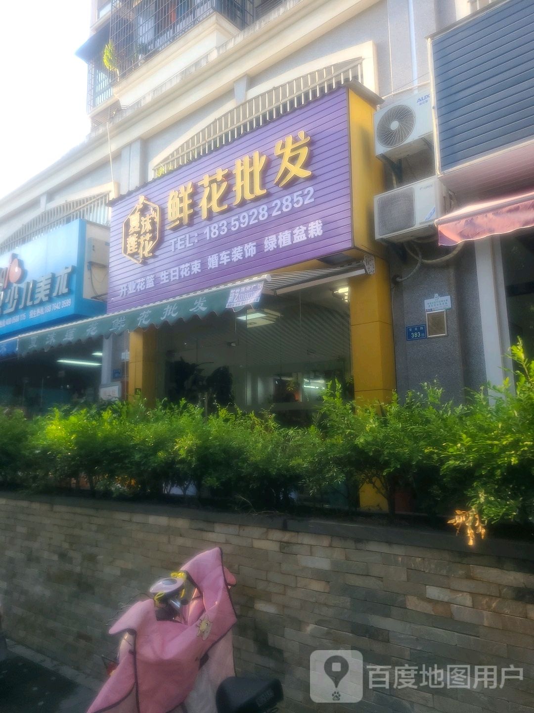 夏沫莲花鲜花批发