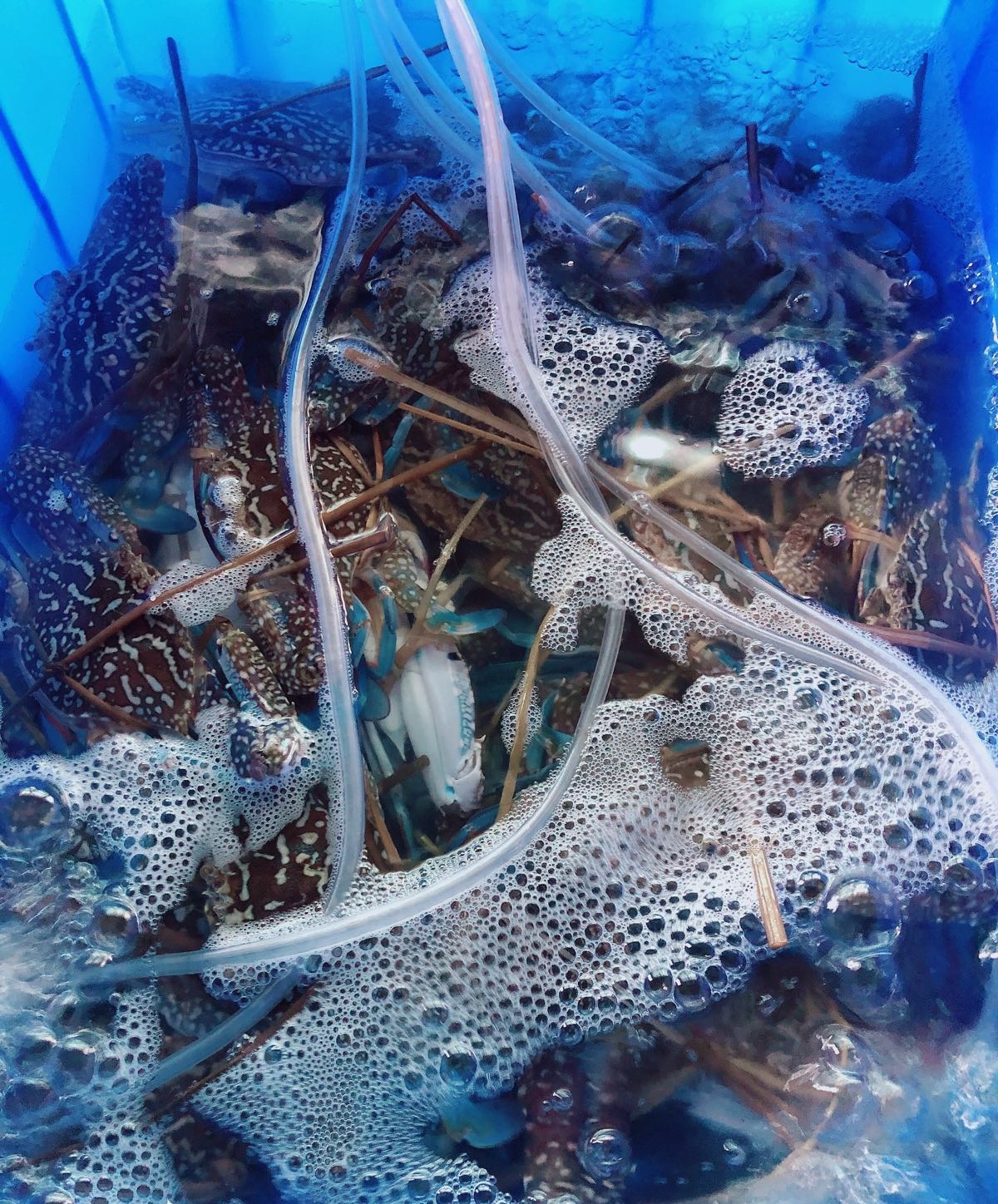 亮记海鲜大排档