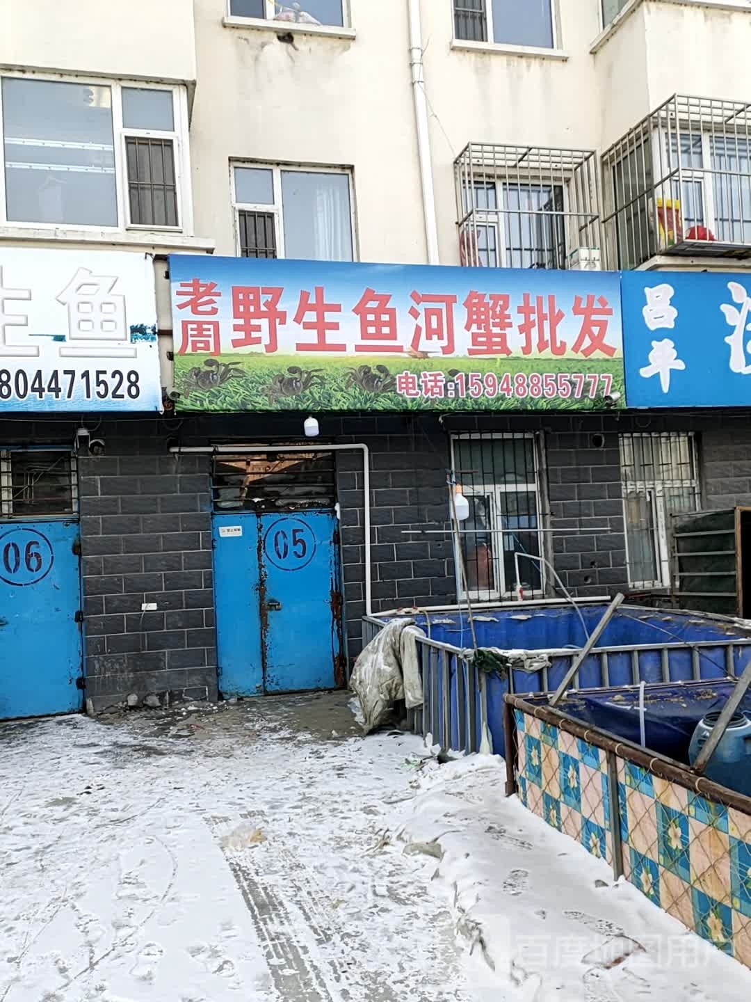 老周野生鱼河蟹批发
