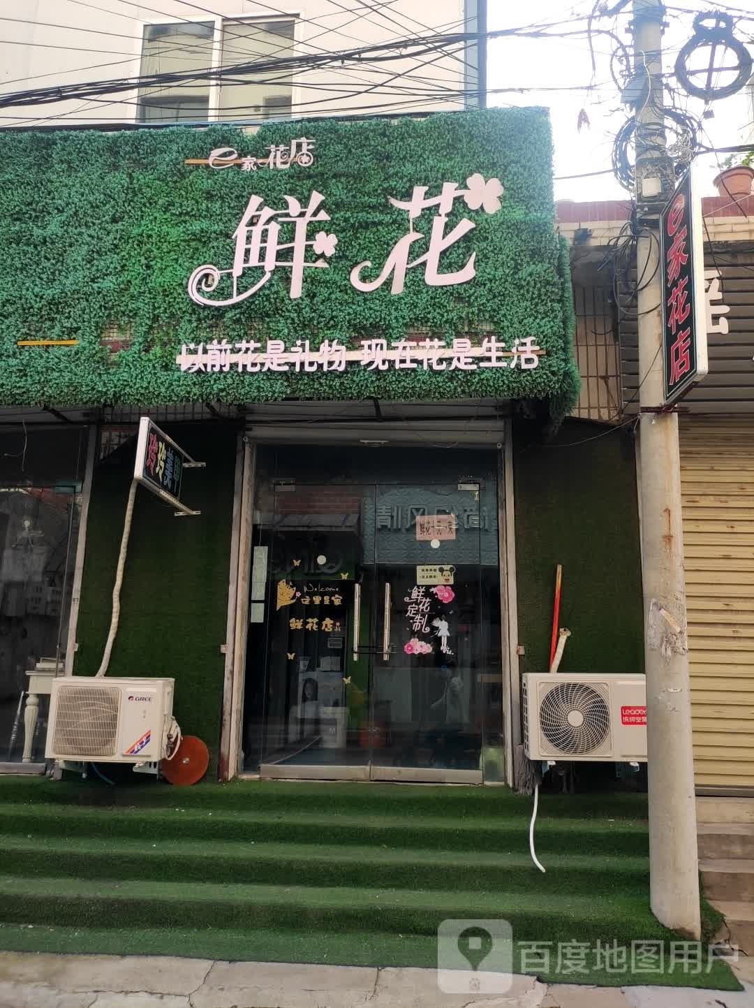 扶沟县e家花店